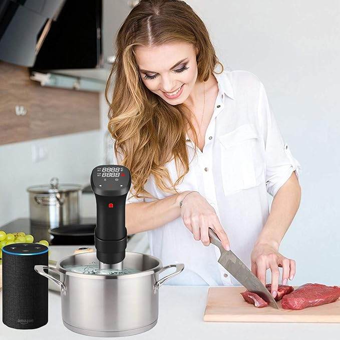 Sous Vide Immersion Circulator - SmartPursue™