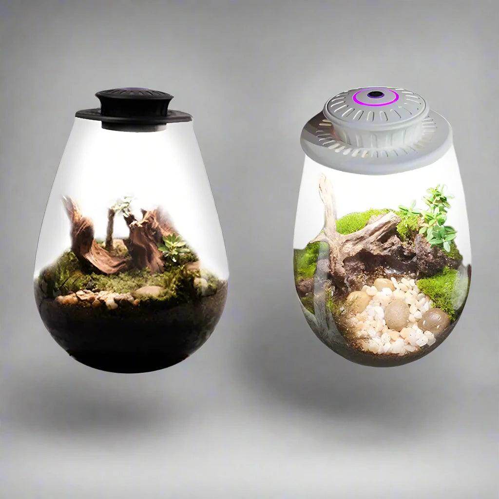 Glass Plant Terrarium with Grow Light - SmartPursue™