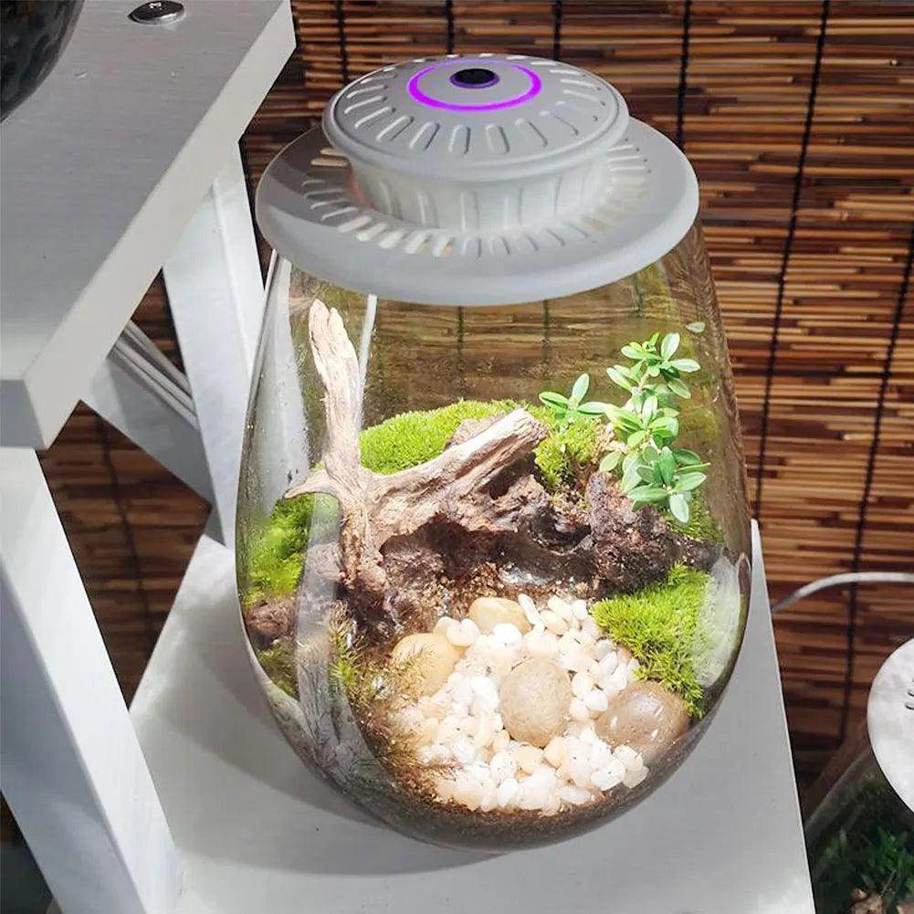 Glass Plant Terrarium with Grow Light - SmartPursue™